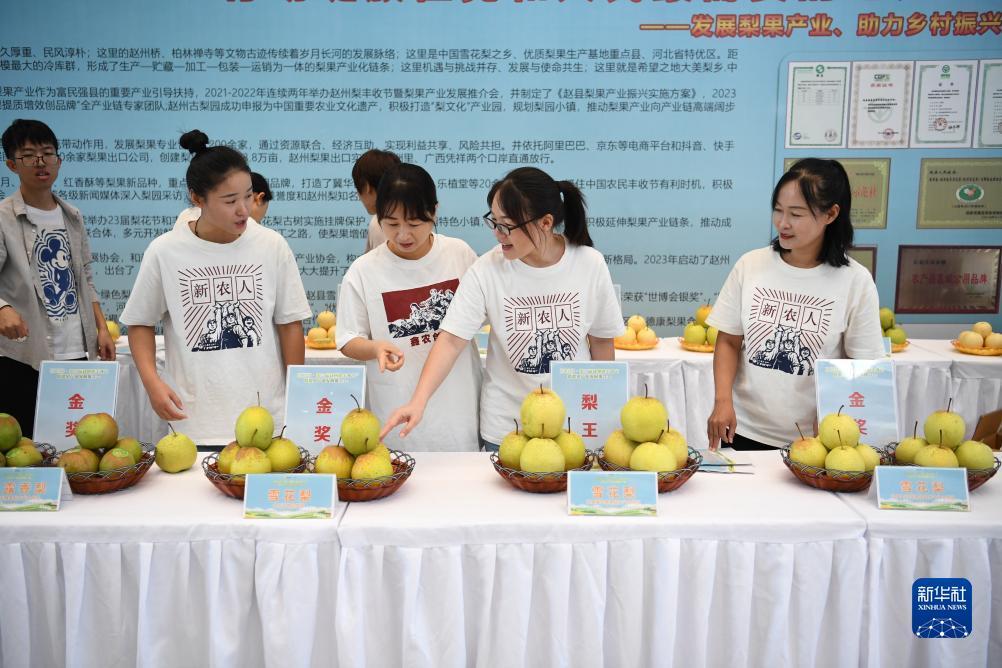 吉林市吉祥棋牌